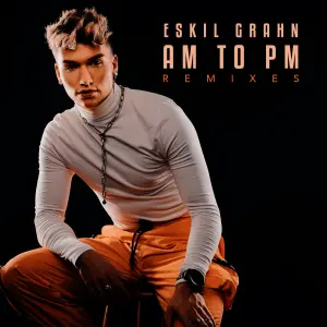 AM to PM (Remixes) cover art
