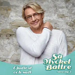 Ljudlöst och salt cover art